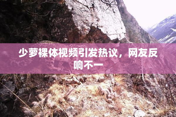 少萝裸体视频引发热议，网友反响不一
