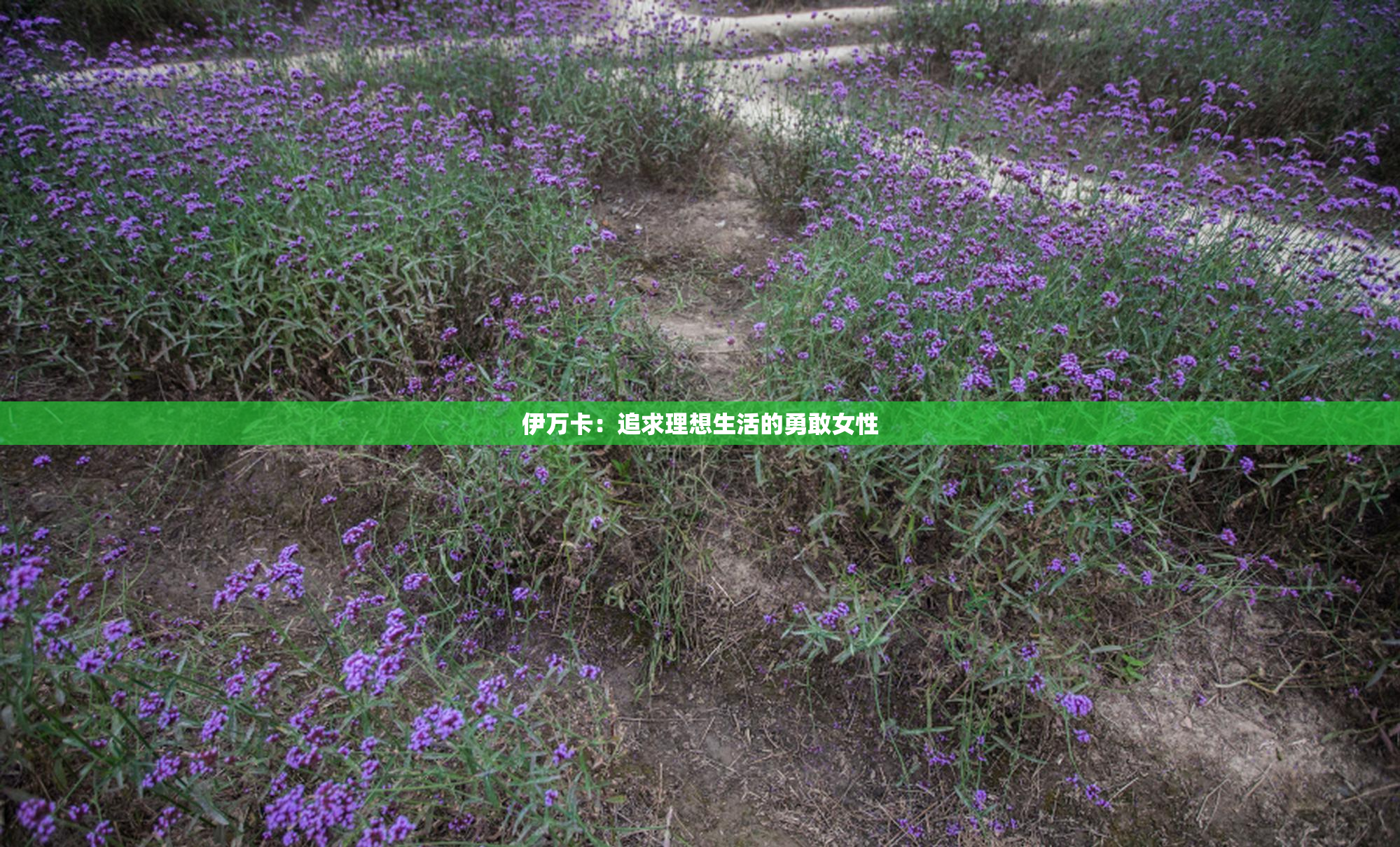 伊万卡：追求理想生活的勇敢女性