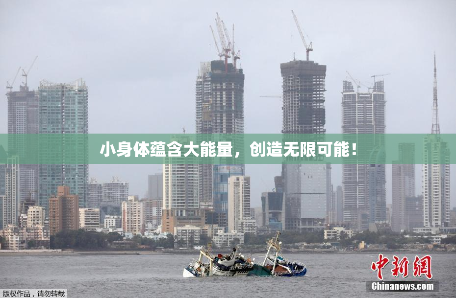 小身体蕴含大能量，创造无限可能！
