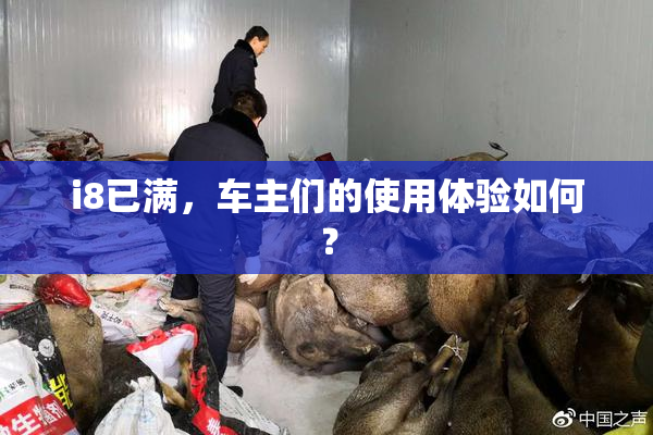 i8已满，车主们的使用体验如何？