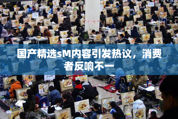 国产精选sM内容引发热议，消费者反响不一