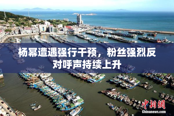 杨幂遭遇强行干预，粉丝强烈反对呼声持续上升