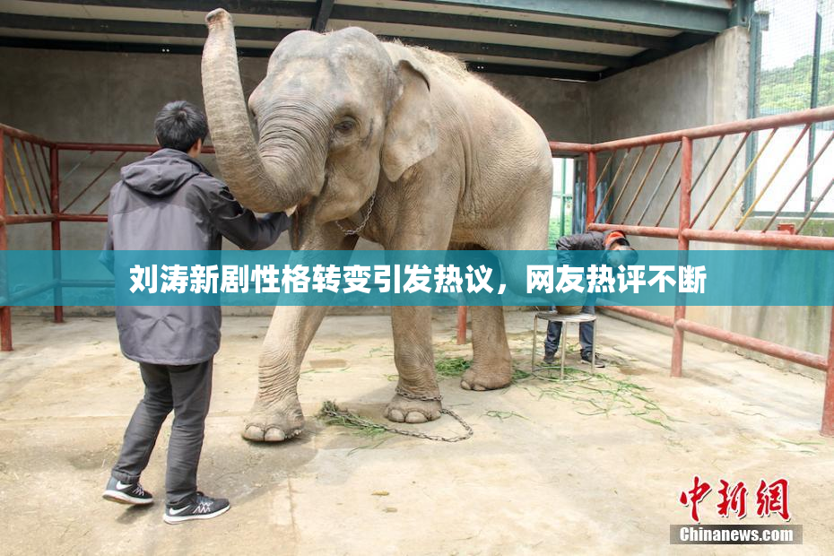 刘涛新剧性格转变引发热议，网友热评不断