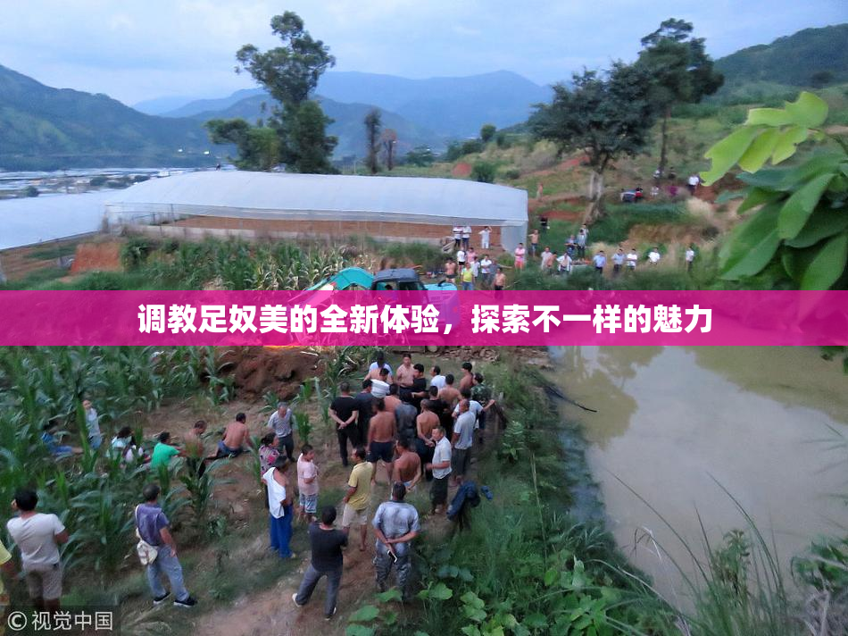 调教足奴美的全新体验，探索不一样的魅力