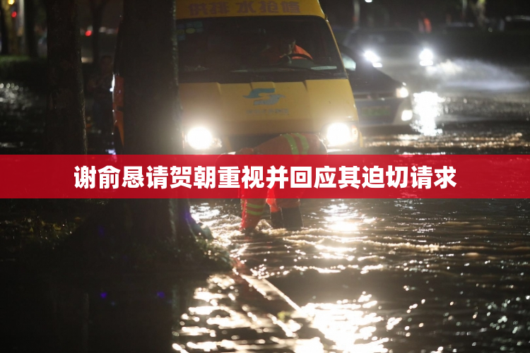 谢俞恳请贺朝重视并回应其迫切请求