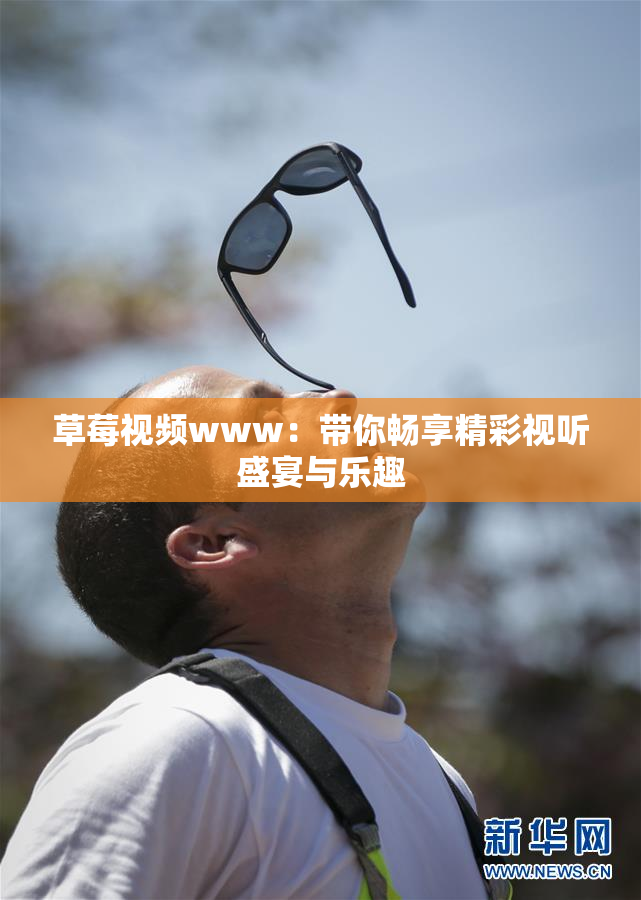 草莓视频www：带你畅享精彩视听盛宴与乐趣