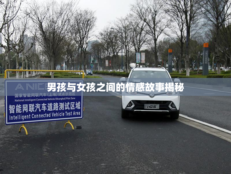 男孩与女孩之间的情感故事揭秘