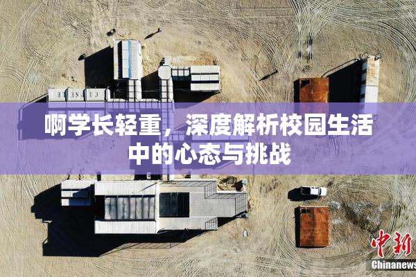 啊学长轻重，深度解析校园生活中的心态与挑战