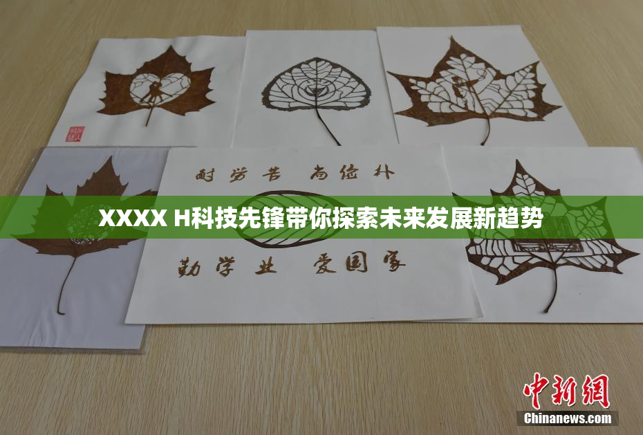 XXXX H科技先锋带你探索未来发展新趋势