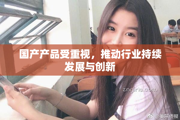 国产产品受重视，推动行业持续发展与创新