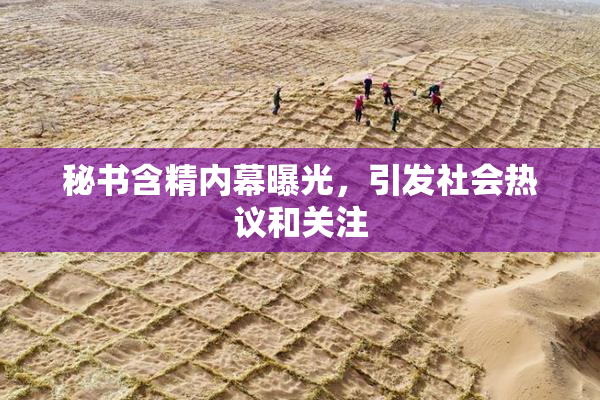 秘书含精内幕曝光，引发社会热议和关注