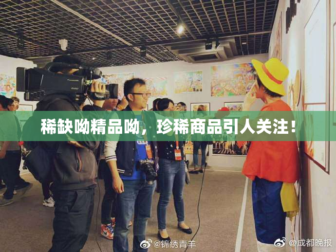 稀缺呦精品呦，珍稀商品引人关注！