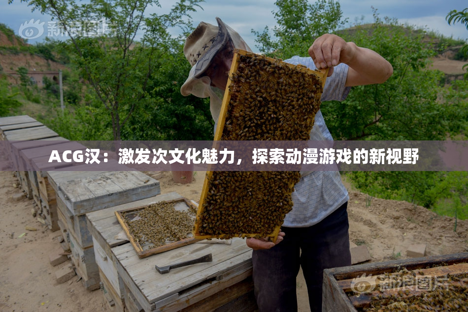 ACG汉：激发次文化魅力，探索动漫游戏的新视野