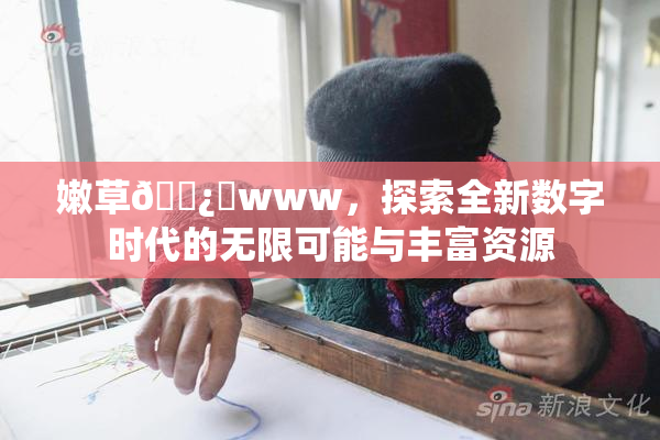 嫩草🌿‌www，探索全新数字时代的无限可能与丰富资源