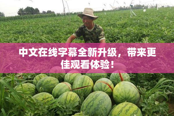 中文在线字幕全新升级，带来更佳观看体验！