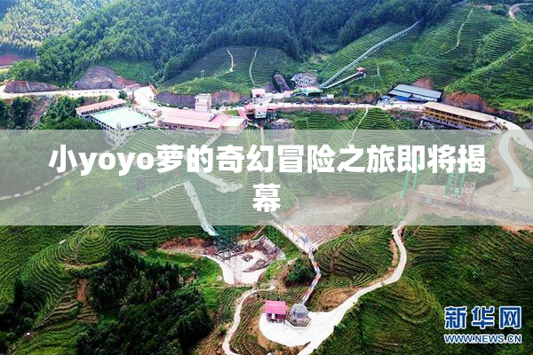小yoyo萝的奇幻冒险之旅即将揭幕