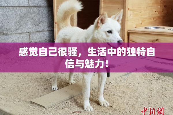 感觉自己很骚，生活中的独特自信与魅力！