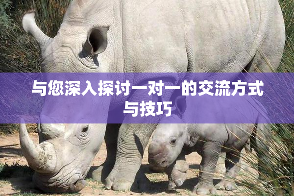 与您深入探讨一对一的交流方式与技巧