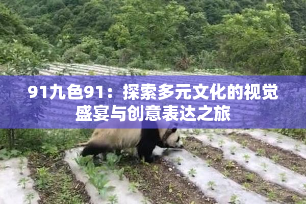 91九色91：探索多元文化的视觉盛宴与创意表达之旅