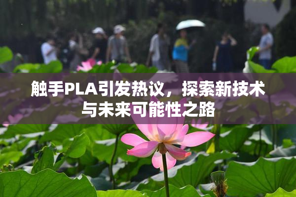 触手PLA引发热议，探索新技术与未来可能性之路