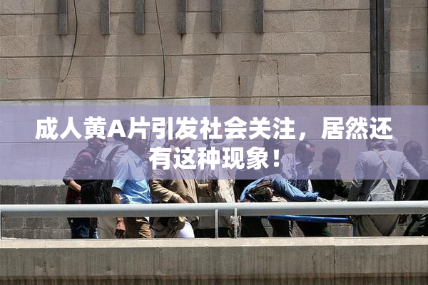 成人黄A片引发社会关注，居然还有这种现象！