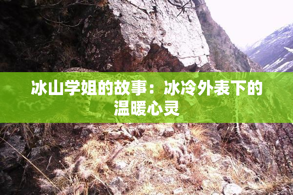 冰山学姐的故事：冰冷外表下的温暖心灵