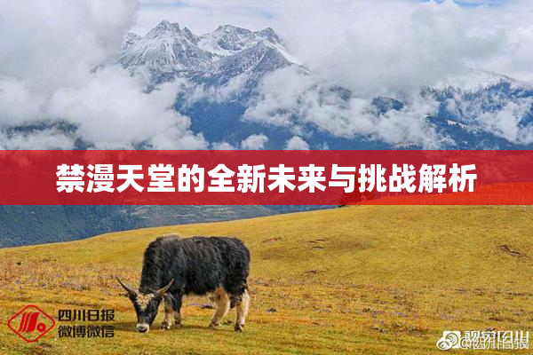 禁漫天堂的全新未来与挑战解析