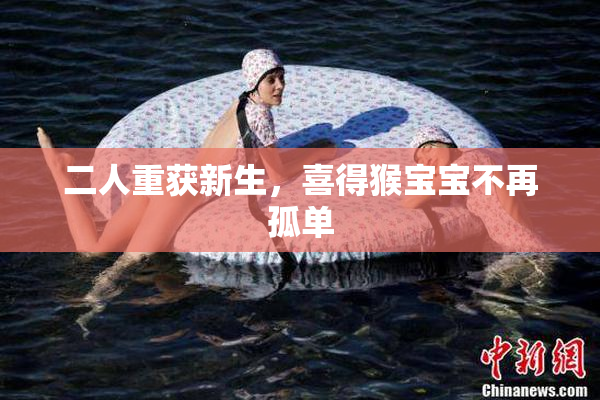二人重获新生，喜得猴宝宝不再孤单