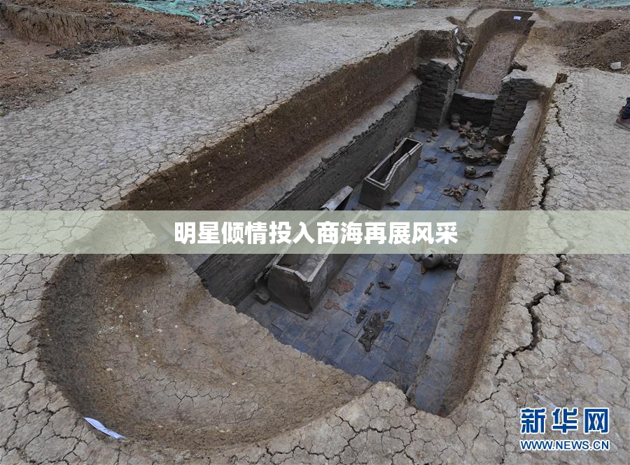明星倾情投入商海再展风采