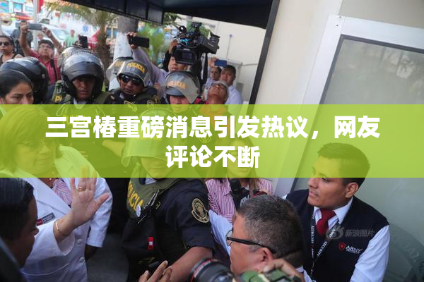 三宫椿重磅消息引发热议，网友评论不断