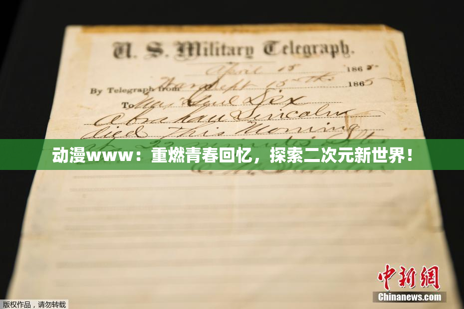 动漫www：重燃青春回忆，探索二次元新世界！