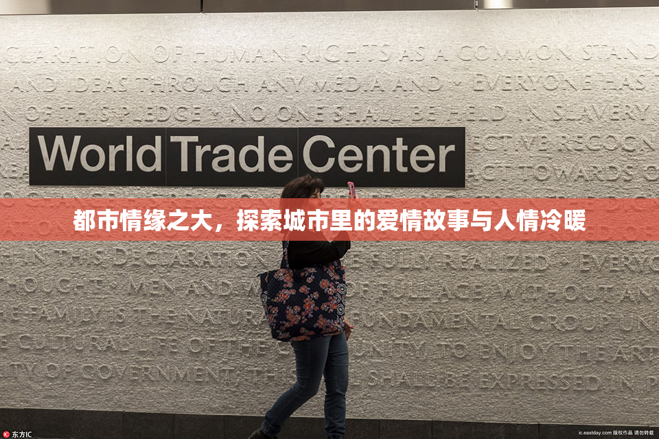 都市情缘之大，探索城市里的爱情故事与人情冷暖