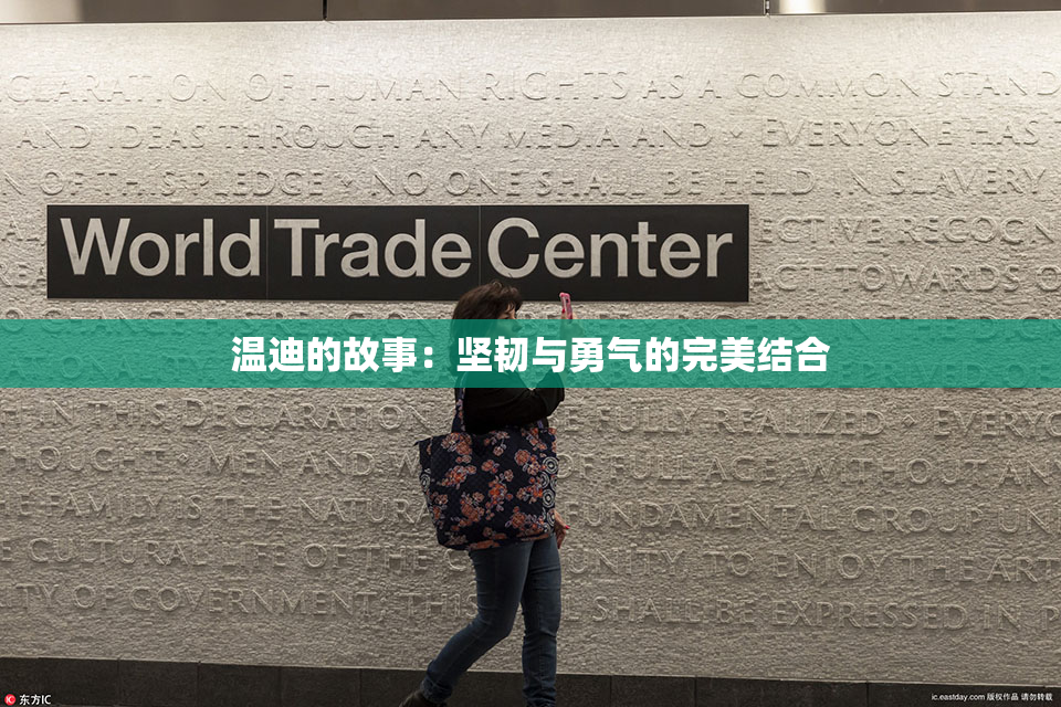 温迪的故事：坚韧与勇气的完美结合