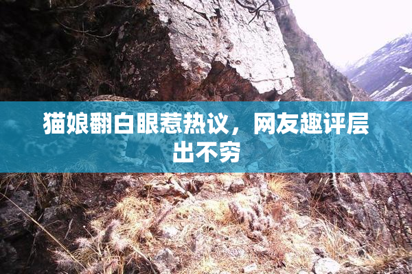 猫娘翻白眼惹热议，网友趣评层出不穷