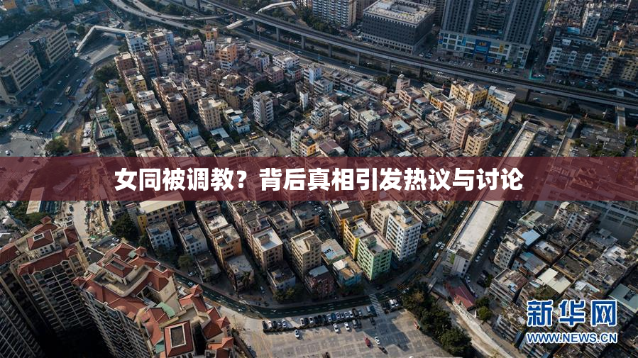 女同被调教？背后真相引发热议与讨论