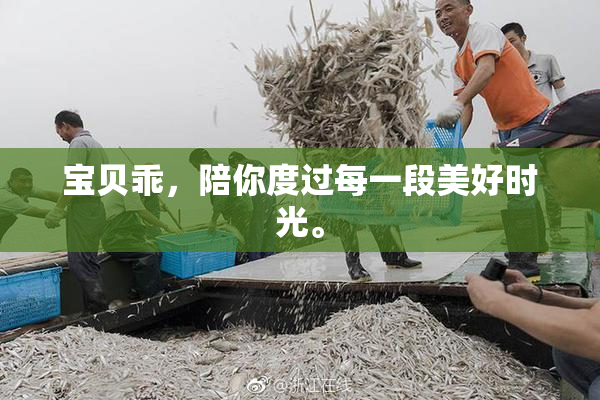 宝贝乖，陪你度过每一段美好时光。