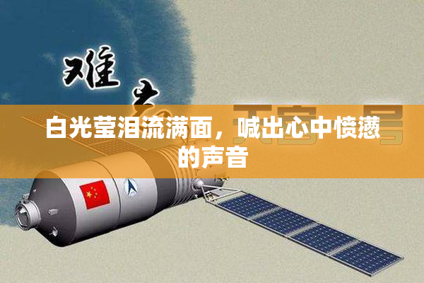 白光莹泪流满面，喊出心中愤懑的声音