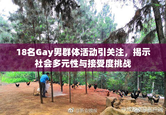 18名Gay男群体活动引关注，揭示社会多元性与接受度挑战