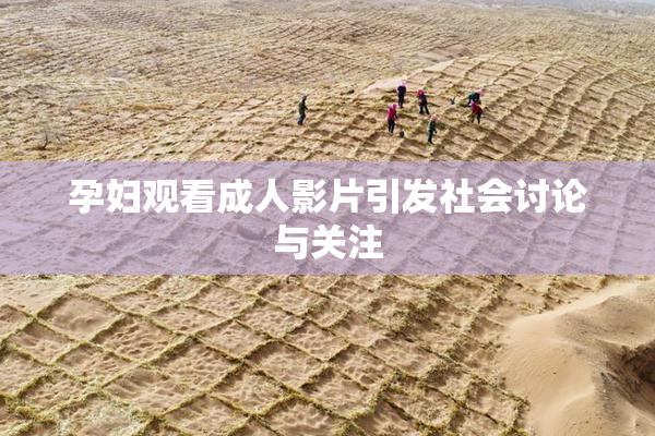 孕妇观看成人影片引发社会讨论与关注