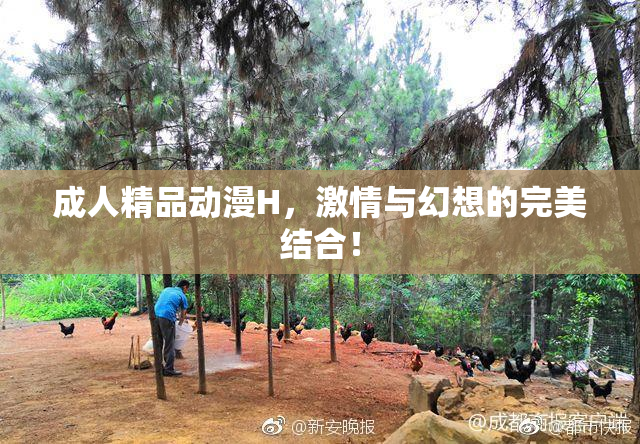 成人精品动漫H，激情与幻想的完美结合！