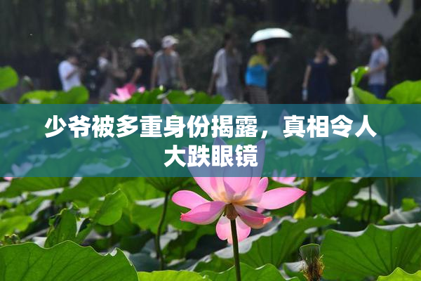 少爷被多重身份揭露，真相令人大跌眼镜
