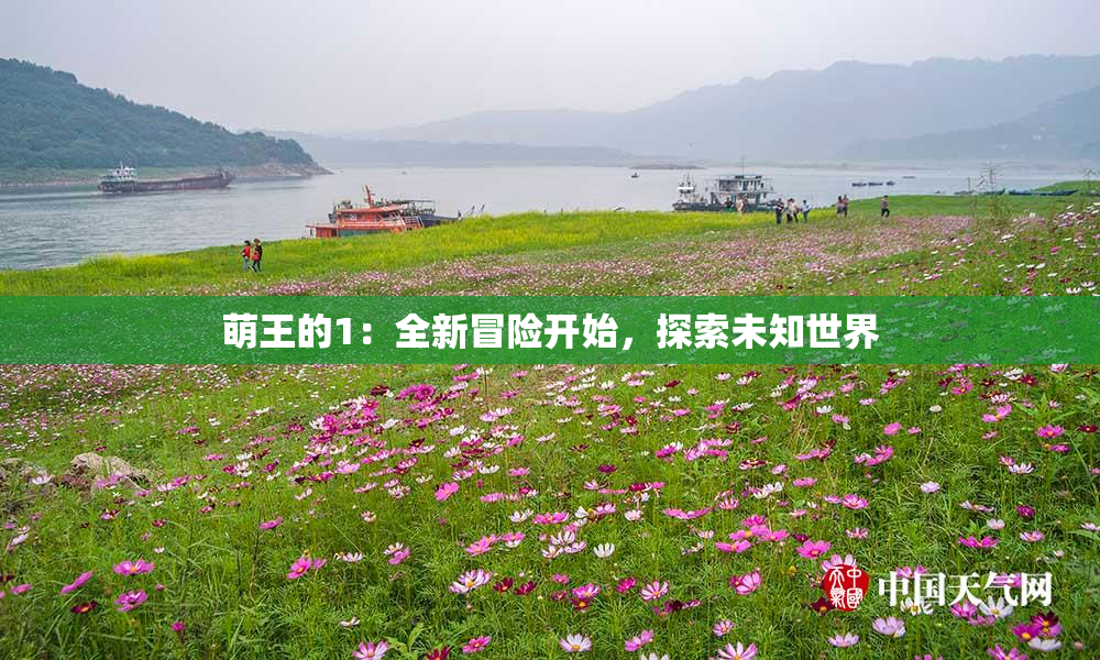 萌王的1：全新冒险开始，探索未知世界