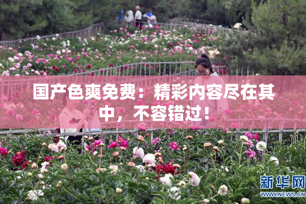 国产色爽免费：精彩内容尽在其中，不容错过！
