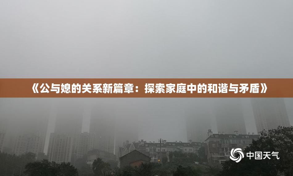 《公与媳的关系新篇章：探索家庭中的和谐与矛盾》