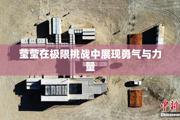莹莹在极限挑战中展现勇气与力量