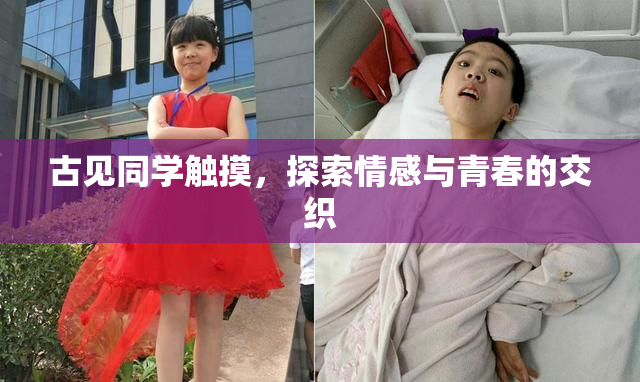 古见同学触摸，探索情感与青春的交织
