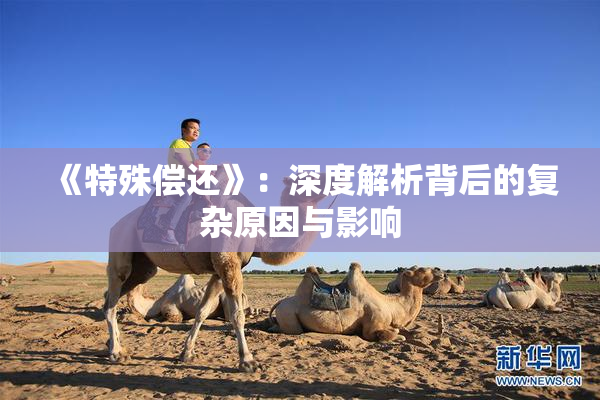 《特殊偿还》：深度解析背后的复杂原因与影响