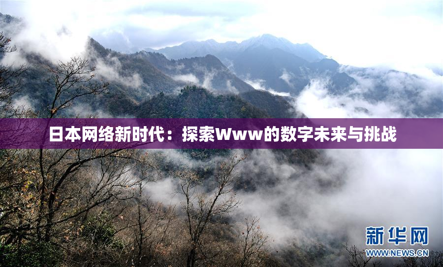 日本网络新时代：探索Www的数字未来与挑战