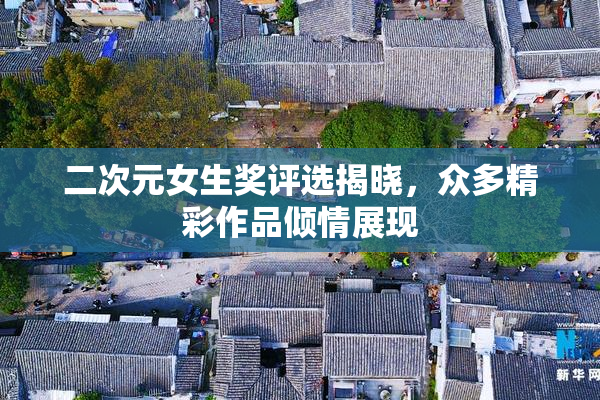 二次元女生奖评选揭晓，众多精彩作品倾情展现