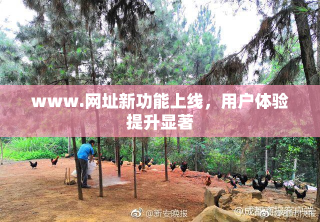 www.网址新功能上线，用户体验提升显著